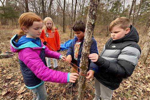 students learning outside